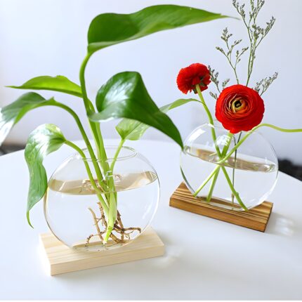"Modern glass vase with wood base Round hydroponic vase Minimalist flower vase Scandinavian home décor Clear glass vases for plants"