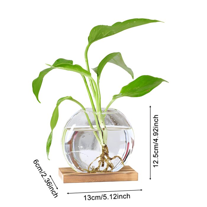 "Modern glass vase with wood base Round hydroponic vase Minimalist flower vase Scandinavian home décor Clear glass vases for plants"