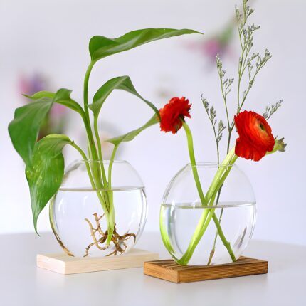"Modern glass vase with wood base Round hydroponic vase Minimalist flower vase Scandinavian home décor Clear glass vases for plants"