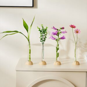 "Minimalist flower vase set Wooden base test tube vases Modern plant propagation vases Unique home decor ideas Scandinavian flower vases"