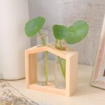 "House-shaped plant propagation station Wooden test tube vase holder Minimalist flower vase with wooden frame Indoor propagation decor Glass vase with wooden stand"
