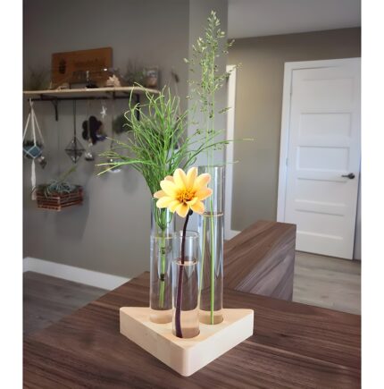 "Triangle glass propagation vase Wooden base plant propagation station Minimalist floral display vase Test tube vase for cuttings Geometric vase for small plants"