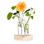 "Triangle glass propagation vase Wooden base plant propagation station Minimalist floral display vase Test tube vase for cuttings Geometric vase for small plants"