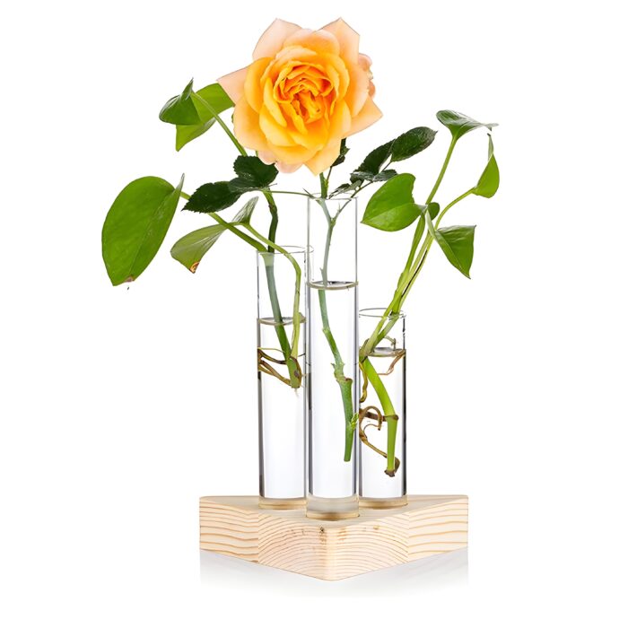 "Triangle glass propagation vase Wooden base plant propagation station Minimalist floral display vase Test tube vase for cuttings Geometric vase for small plants"
