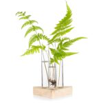 "Triangle glass propagation vase Wooden base plant propagation station Minimalist floral display vase Test tube vase for cuttings Geometric vase for small plants"