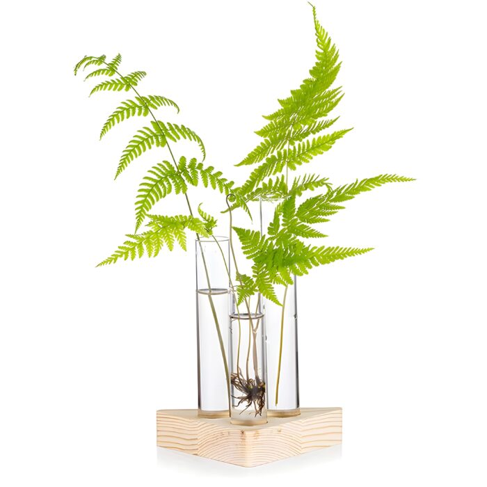 "Triangle glass propagation vase Wooden base plant propagation station Minimalist floral display vase Test tube vase for cuttings Geometric vase for small plants"