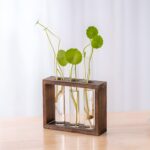 " Rustic propagation station Wooden frame test tube vase Glass tube planter display Propagation tools for indoor plants Minimalist floral decor vase"
