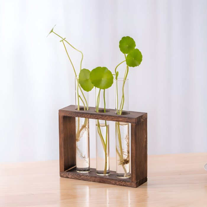 " Rustic propagation station Wooden frame test tube vase Glass tube planter display Propagation tools for indoor plants Minimalist floral decor vase"