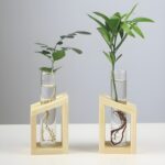 " Propagation station set Minimalist wooden test tube vases Modern plant propagation tools Decorative plant root display set Geometric glass and"
