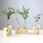 " Propagation station set Minimalist wooden test tube vases Modern plant propagation tools Decorative plant root display set Geometric glass and"