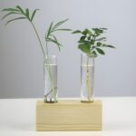 " Propagation station set Minimalist wooden test tube vases Modern plant propagation tools Decorative plant root display set Geometric glass and"