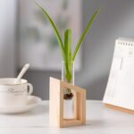 " Minimalist propagation station Modern test tube vase set Plant propagation decor ideas Decorative wooden frame glass vases Angled propagation vase duo"