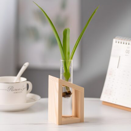 " Minimalist propagation station Modern test tube vase set Plant propagation decor ideas Decorative wooden frame glass vases Angled propagation vase duo"