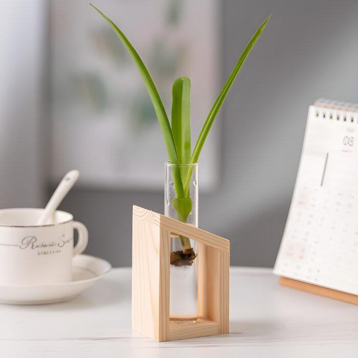 " Minimalist propagation station Modern test tube vase set Plant propagation decor ideas Decorative wooden frame glass vases Angled propagation vase duo"