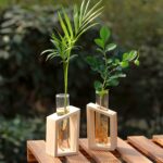 " Minimalist propagation station Modern test tube vase set Plant propagation decor ideas Decorative wooden frame glass vases Angled propagation vase duo"