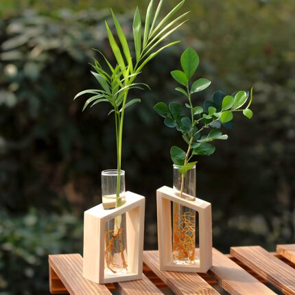 " Minimalist propagation station Modern test tube vase set Plant propagation decor ideas Decorative wooden frame glass vases Angled propagation vase duo"