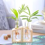 " Minimalist propagation station Modern test tube vase set Plant propagation decor ideas Decorative wooden frame glass vases Angled propagation vase duo"