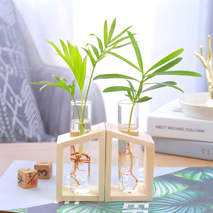 " Minimalist propagation station Modern test tube vase set Plant propagation decor ideas Decorative wooden frame glass vases Angled propagation vase duo"