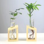 " Minimalist propagation station Modern test tube vase set Plant propagation decor ideas Decorative wooden frame glass vases Angled propagation vase duo"