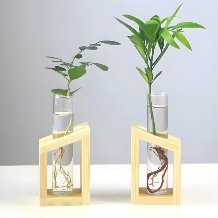 " Minimalist propagation station Modern test tube vase set Plant propagation decor ideas Decorative wooden frame glass vases Angled propagation vase duo"