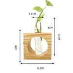 " Circular propagation vase Modern wooden test tube planter Plant propagation decor ideas Hydroponic plant display vase Minimalist desk deco"