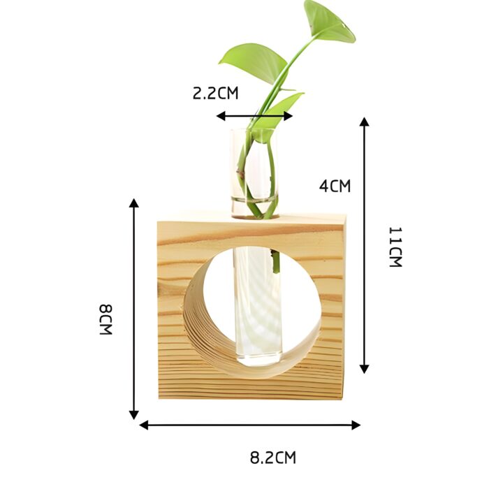 " Circular propagation vase Modern wooden test tube planter Plant propagation decor ideas Hydroponic plant display vase Minimalist desk deco"