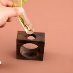 " Circular propagation vase Modern wooden test tube planter Plant propagation decor ideas Hydroponic plant display vase Minimalist desk deco"