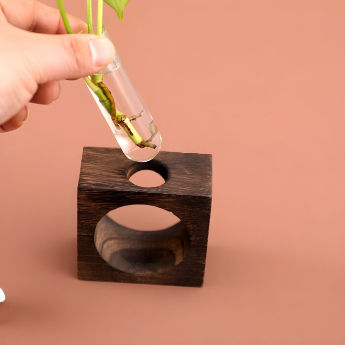 " Circular propagation vase Modern wooden test tube planter Plant propagation decor ideas Hydroponic plant display vase Minimalist desk deco"