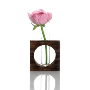 " Circular propagation vase Modern wooden test tube planter Plant propagation decor ideas Hydroponic plant display vase Minimalist desk deco"
