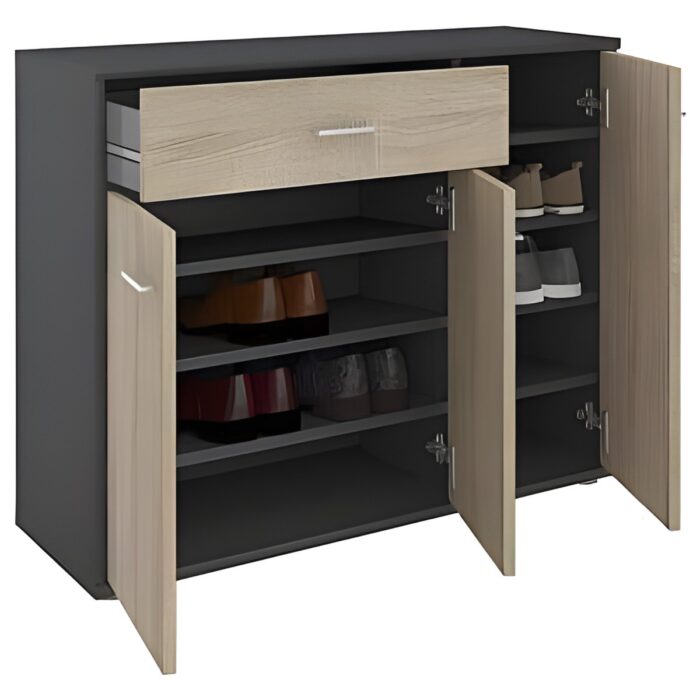 Wooden shoe storage cabinet Entryway shoe organizer Modern shoe rack with doors Shoe cabinet with drawer Minimalist furniture for small spaces Closed shoe storage solution